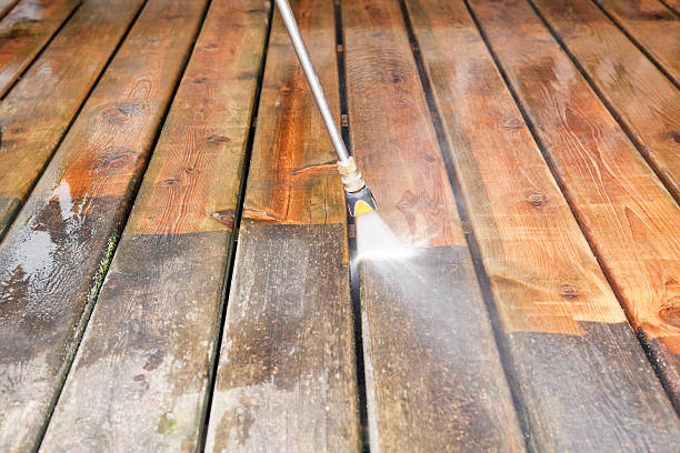 Animal Enclosure Cleaning in Denair, CA